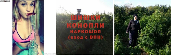 марки lsd Переславль-Залесский