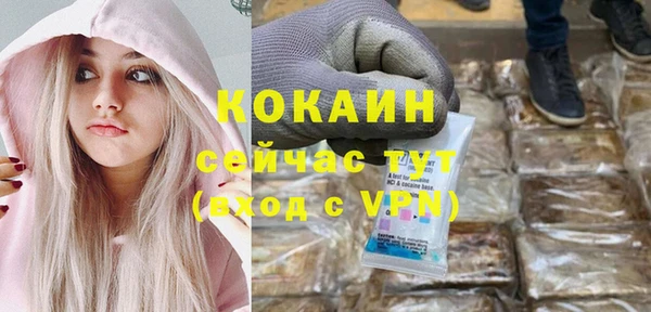 PSILOCYBIN Пересвет