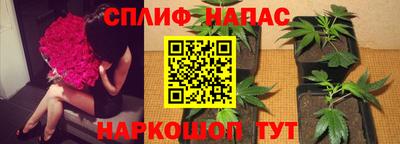 тгк Тулун