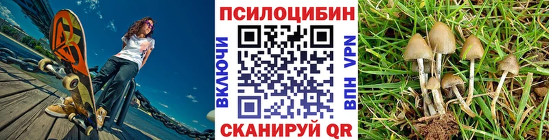 hydra рабочий сайт  Альметьевск  Псилоцибиновые грибы Magic Shrooms 